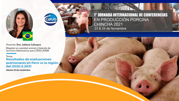 CEVA participará en 1° Jornada Internacional de Conferencias en Producción Porcina