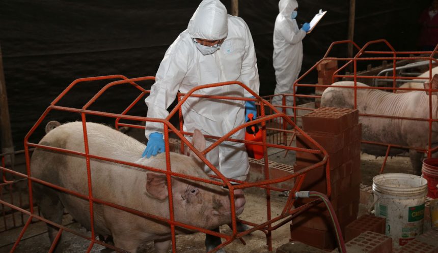 Minagri realizó simulacro de contingencia contra PPA