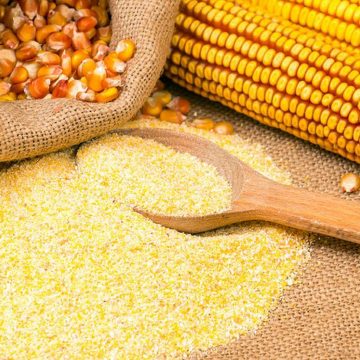 Argentina: cosecha de maíz rompió récord histórico