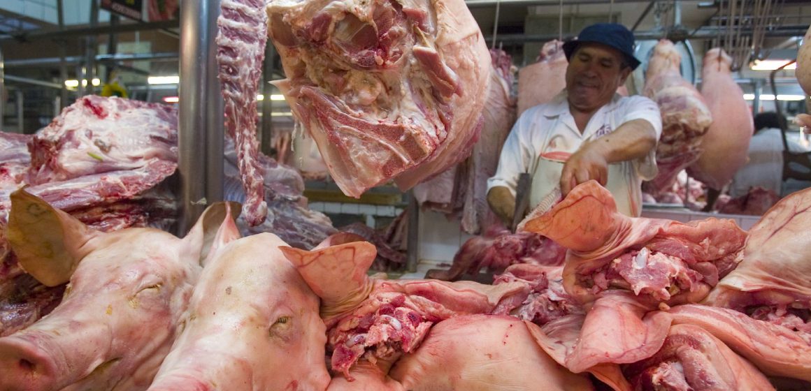 Argentina: inversores chinos buscan impulsar la producción porcina