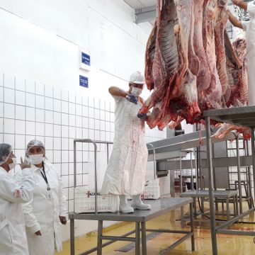 Cajamarca inició implementación de mataderos