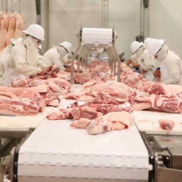 Sigue creciendo producción interna de la carne de cerdo en el Perú