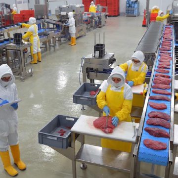 Panamá: plantas procesadoras de carne
