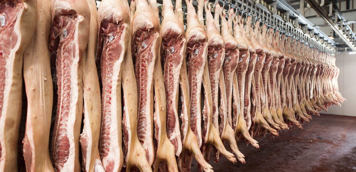 Vietnam: después de un año el sector porcino se recupera en un 70% de la PPA