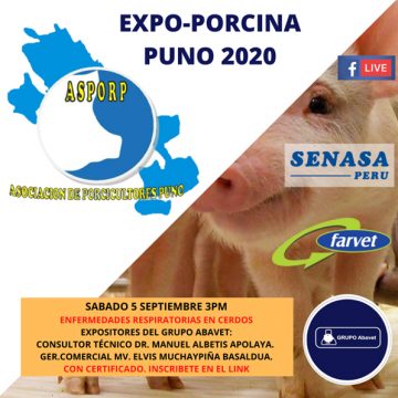 Realizarán webinar “Expoporcina Puno 2020, Porcicultura de Altura”