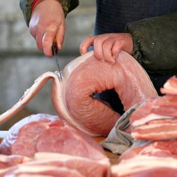 Prohíben ingreso de productos porcinos al mercado peruano