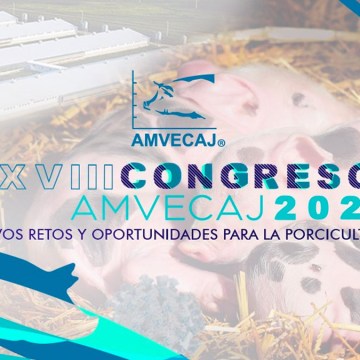 México recibe a nuestra industria en el XXVIII Congreso AMVECAJ 2022