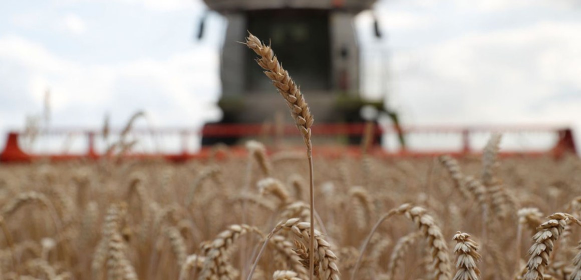 Soja, maíz y trigo internacional suben en medio de crisis ucraniana