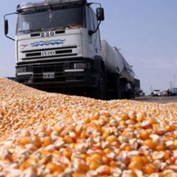 EE.UU. exportará más maíz, pero menos trigo ante crisis de Ucrania