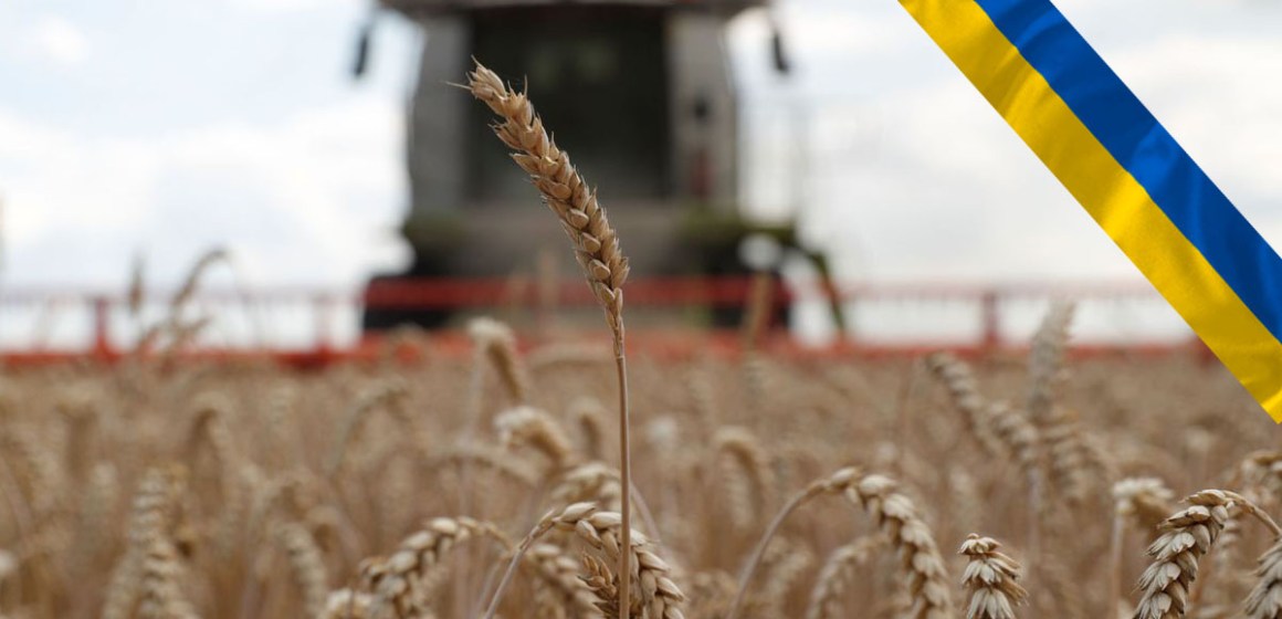 Ucrania prohíbe exportación de trigo, alforfón y otros suministros