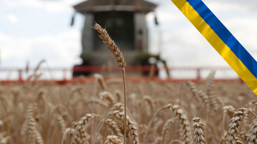 Ucrania prohíbe exportación de trigo, alforfón y otros suministros