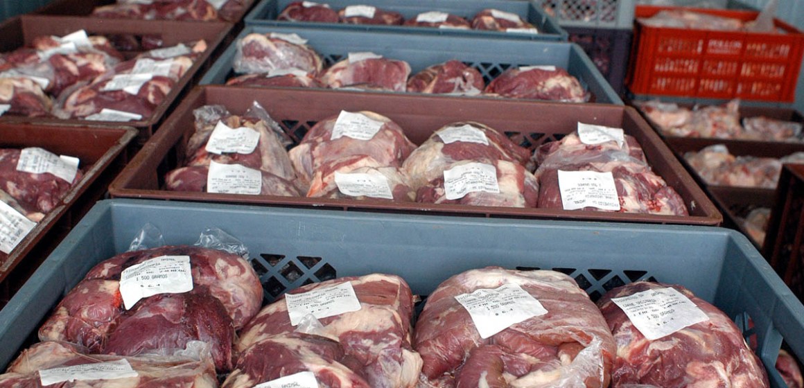 Exportaciones brasileñas de cerdo continúan a la baja, en julio cayeron casi 9%