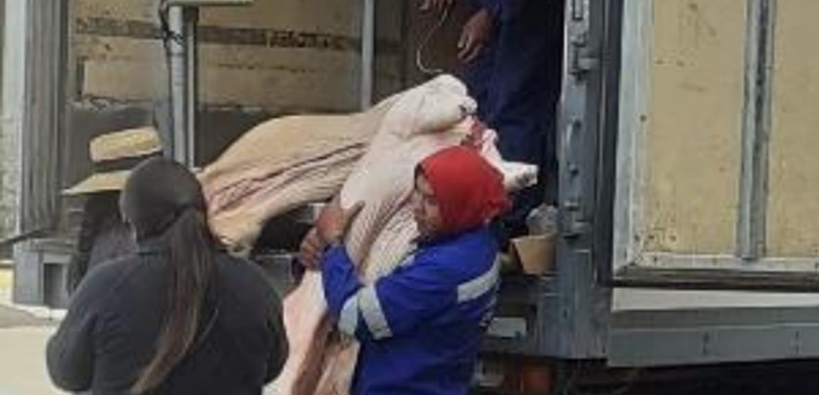 Contrabando de carcasas en Desaguadero afecta a nuestra porcicultura