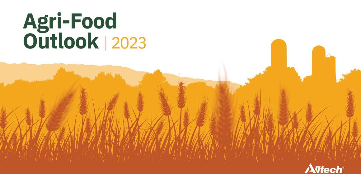 Alltech presenta decimosegunda encuesta anual sobre producción global de alimento balanceado en 2022