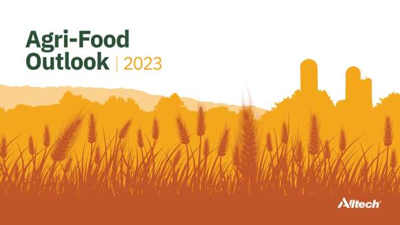 Alltech presenta decimosegunda encuesta anual sobre producción global de alimento balanceado en 2022