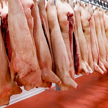 Producción porcina crecería 4% este año y retomaría negociaciones de exportación hacia China