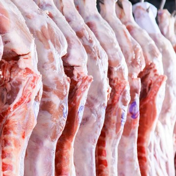 EE.UU. exportó casi 30% más cerdo a China en los primeros 4 meses del año versus 2022