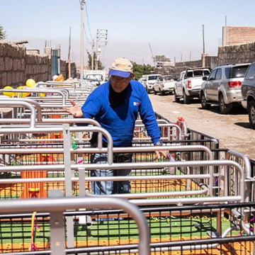 Porcicultores de Arequipa reciben bienes por S/300 mil soles
