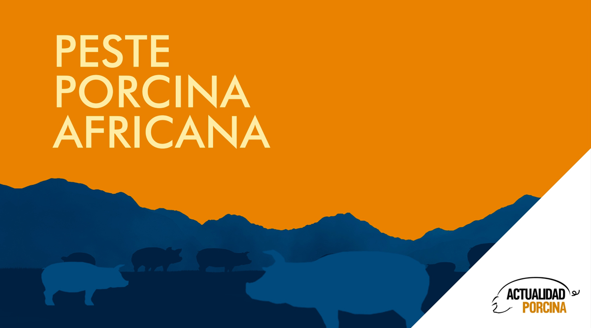 Lo que debes saber sobre la peste porcina africana