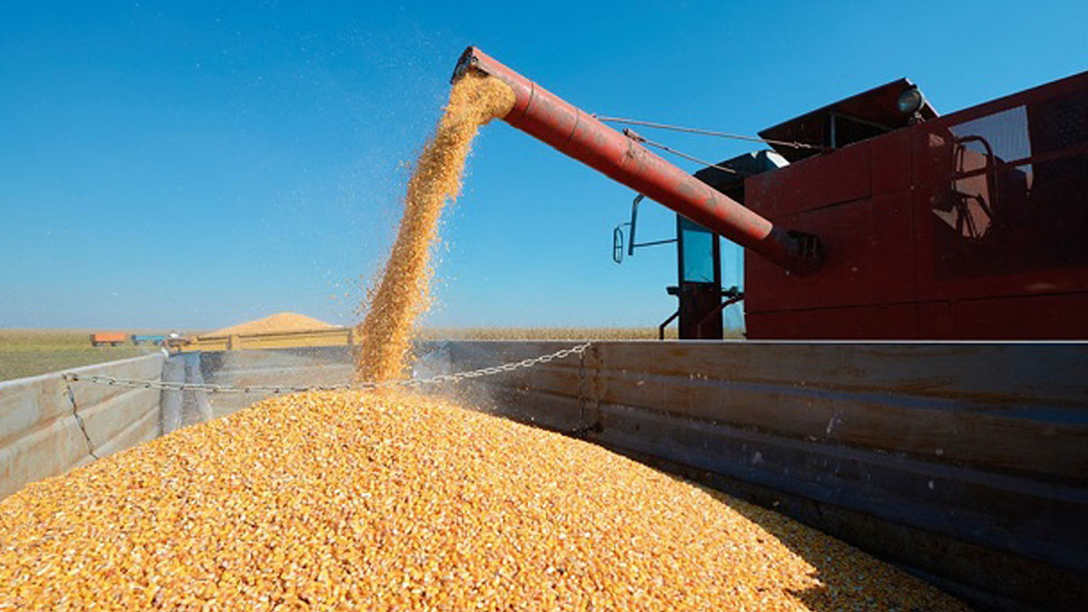 Lanzan campaña agrícola argentina 2022/23: primeras estimaciones para los granos