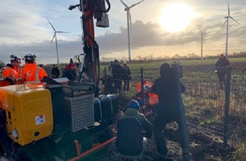 Dinamarca construyó una valla para evitar la entrada de jabalíes