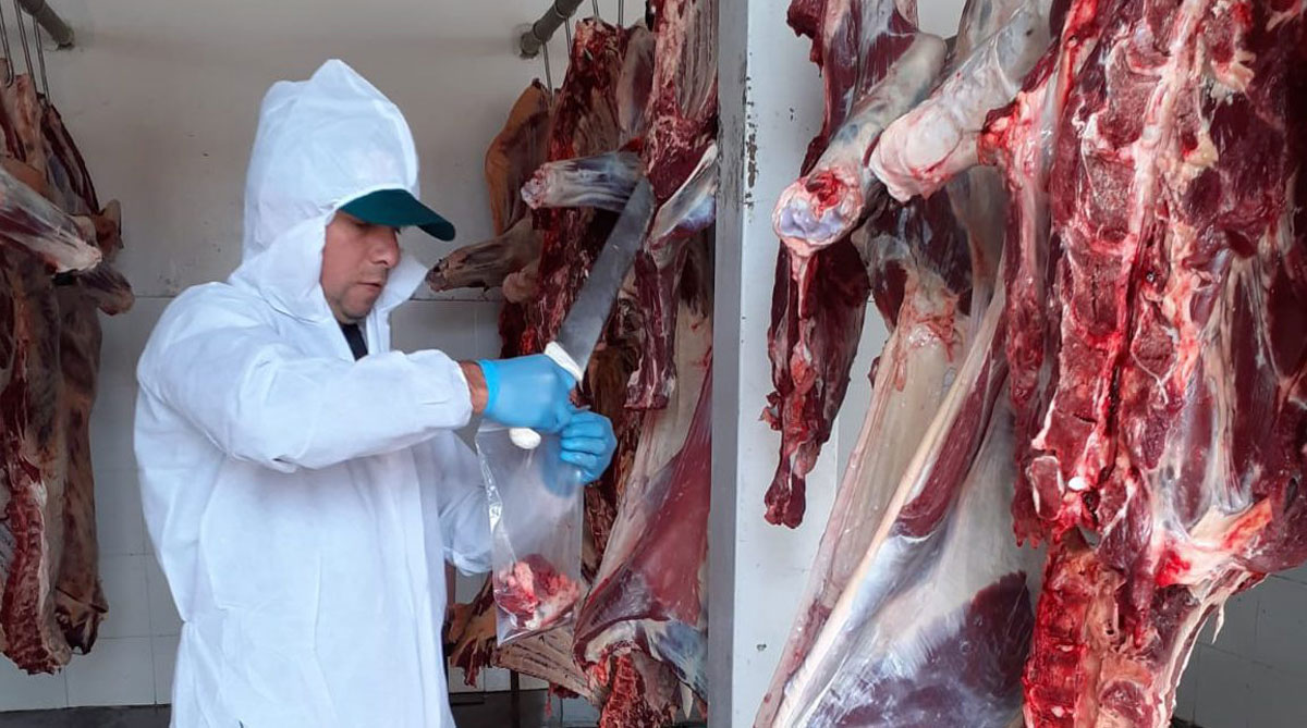Minagri promueve producción de alimentos sanos e inocuos