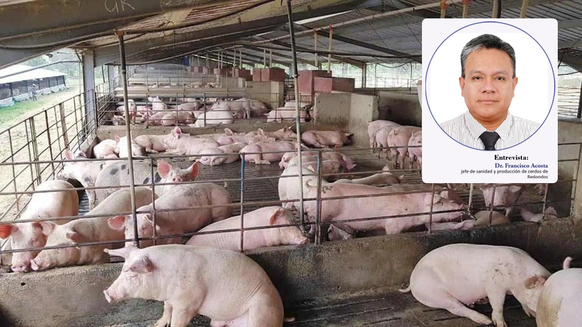 Principales factores de riesgo frente a la PPA en el Perú