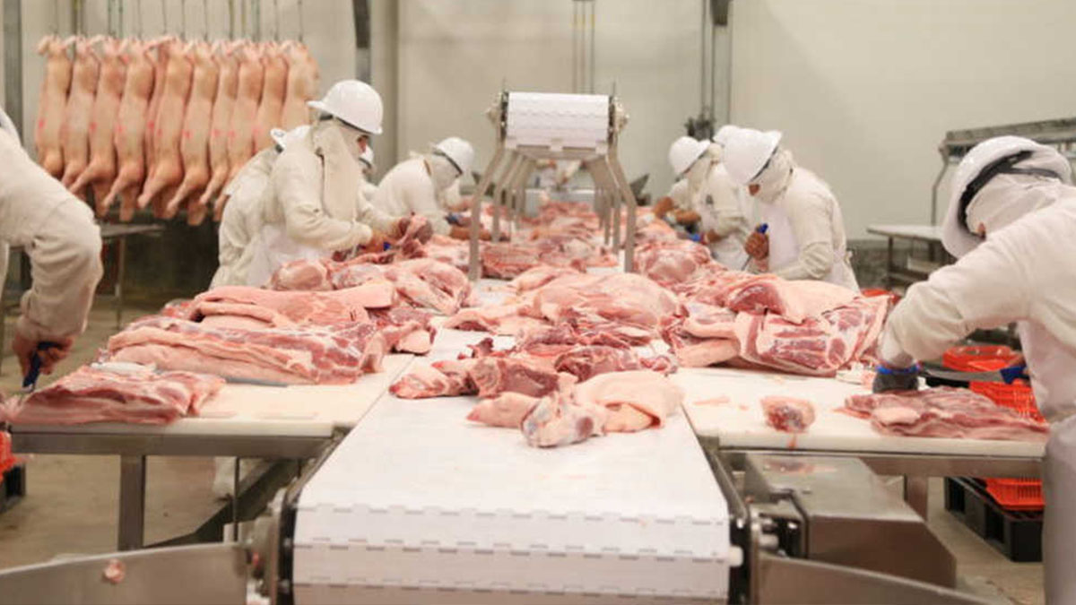 Sigue creciendo producción interna de la carne de cerdo en el Perú