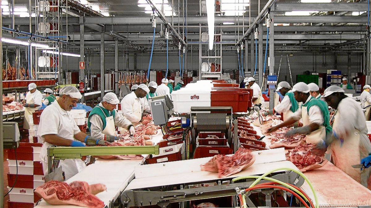 Diecisiete mataderos de vacuno, seis de aves y uno de porcino de Brasil aprobados para exportar a China