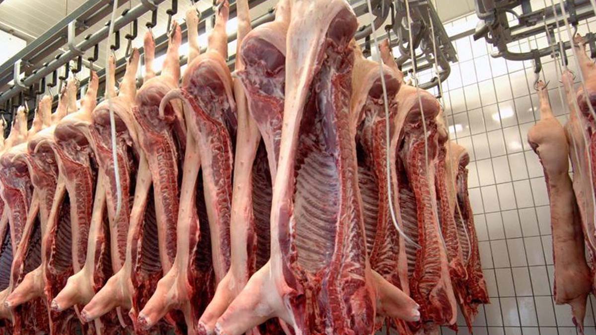 Piden especificar qué sectores productores de carne gozarán de exoneración temporal de IGV
