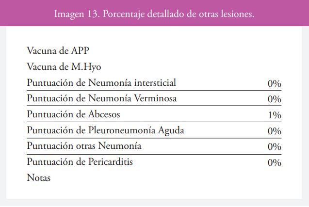 Imagen 13