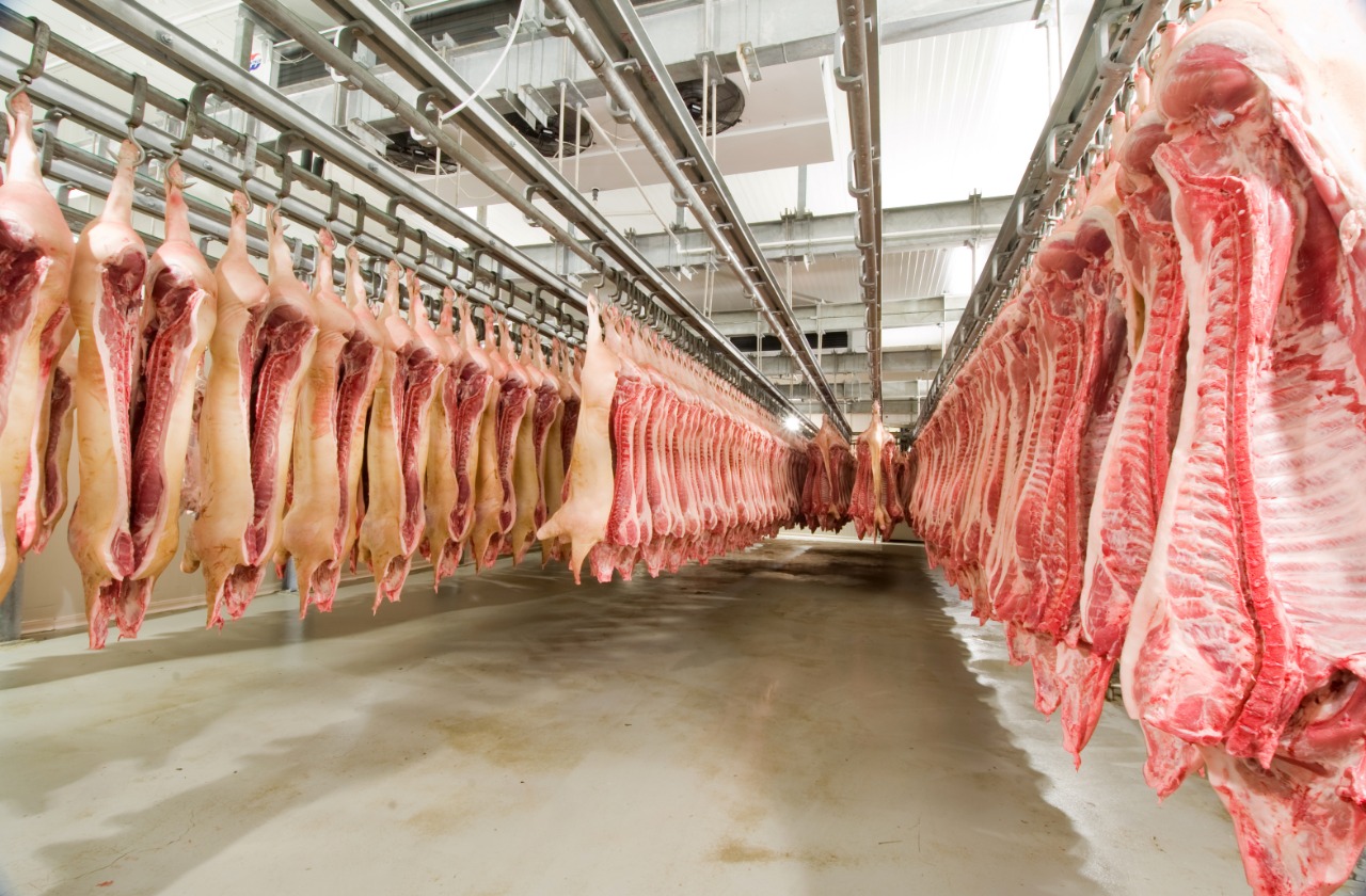 Brasil incrementó más de 150% las exportaciones de carne de cerdo a China