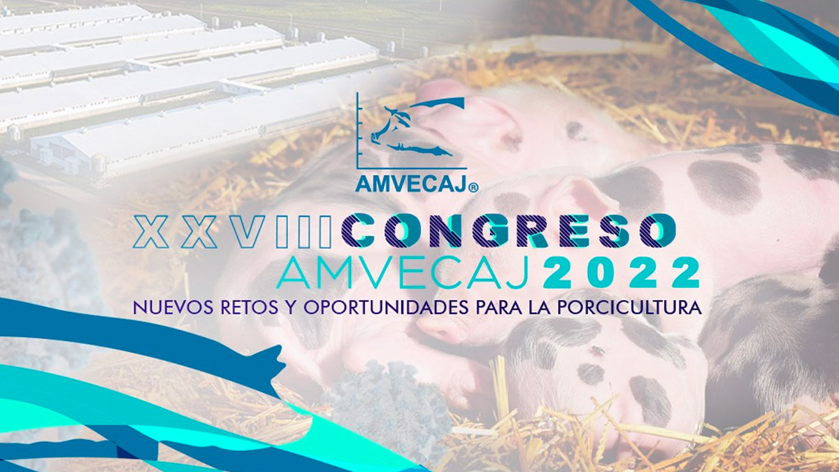 WEB México recibe a nuestra industria en el XXVIII Congreso AMVECAJ 2022