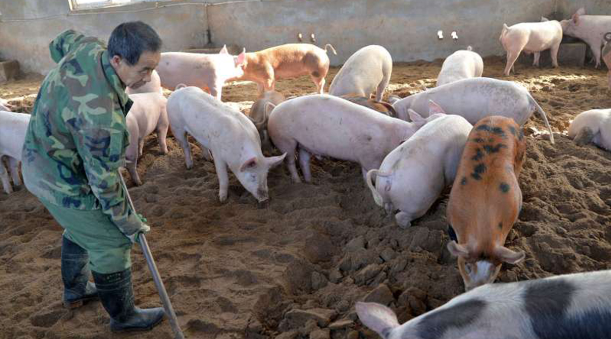 Sánchez-Vizcaíno: China está intentando adaptarse a convivir con la PPA