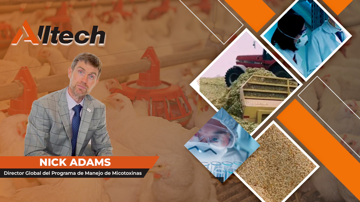 Cápsulas Alltech: Programa de Manejo de Micotoxinas