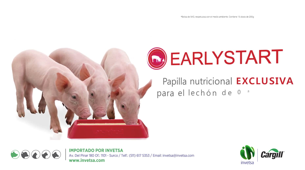 Earlystart: crecimiento desde el primer día