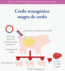 revista-porcina-48-50