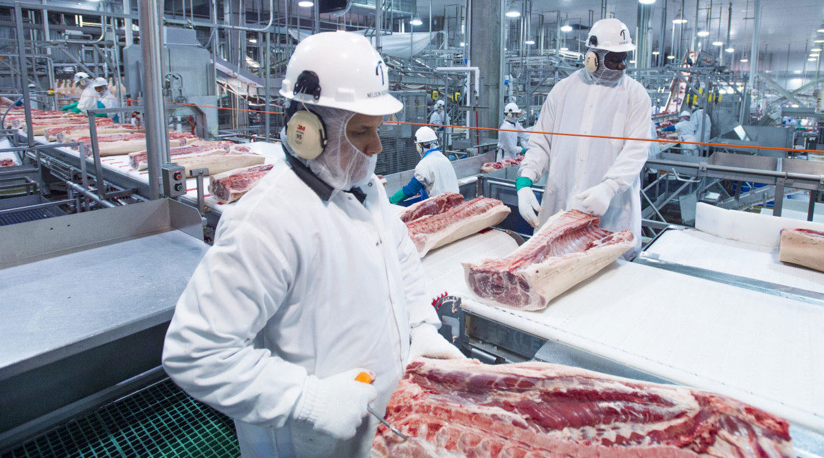Ganadería porcina y bovina van de la mano en Argentina