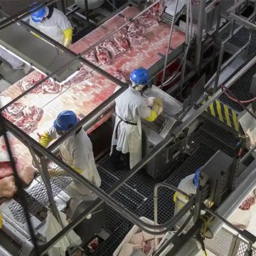 Smithfield Foods cerrará 35 granjas porcinas de las 132 que opera en EE.UU.