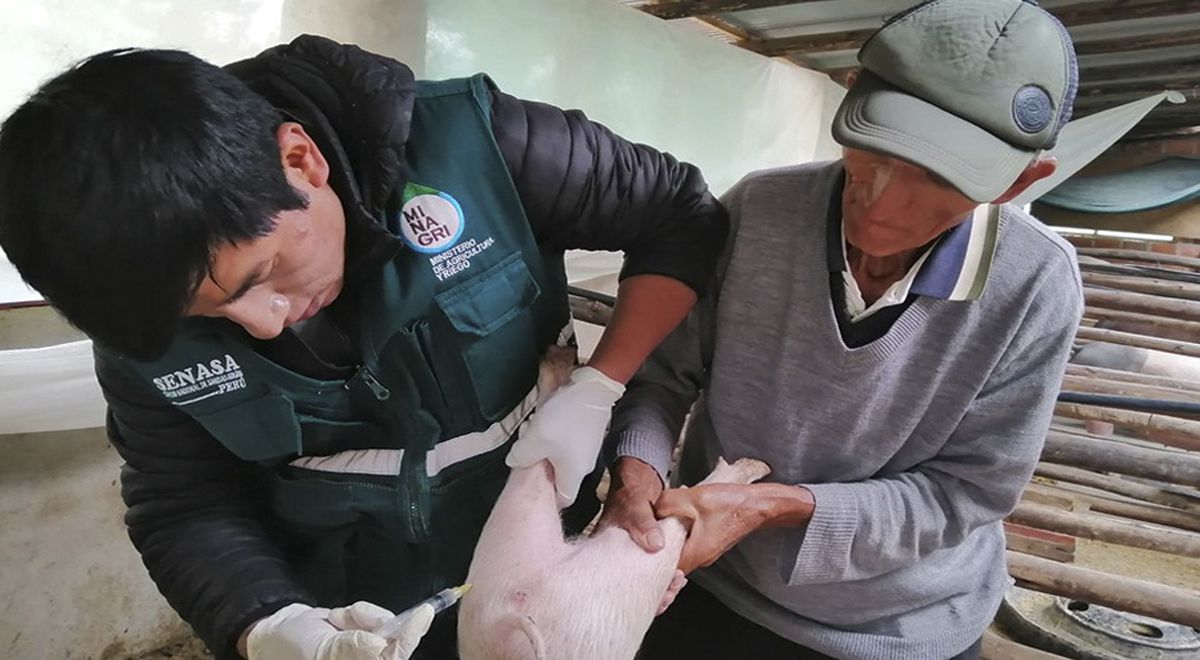 Minagri benefició a ganaderos en Ayabaca