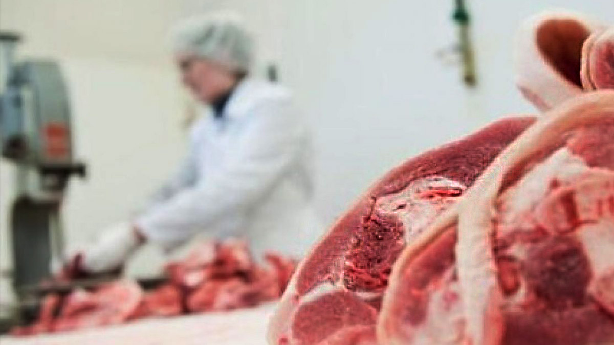 carne de cerdo, importación.