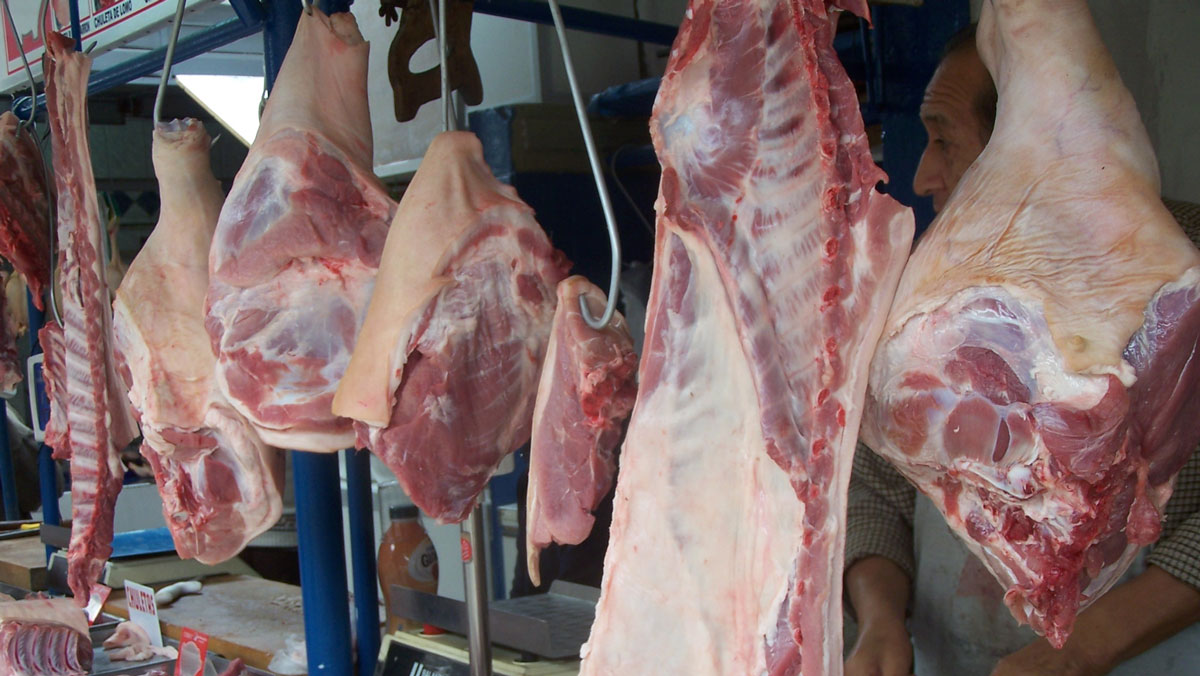 APP impulsa exportación de cerdo a China
