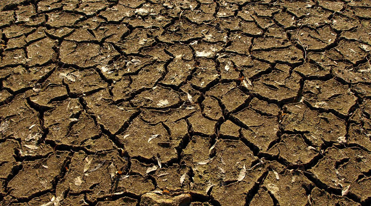 Chile decretado en emergencia agrícola por sequía