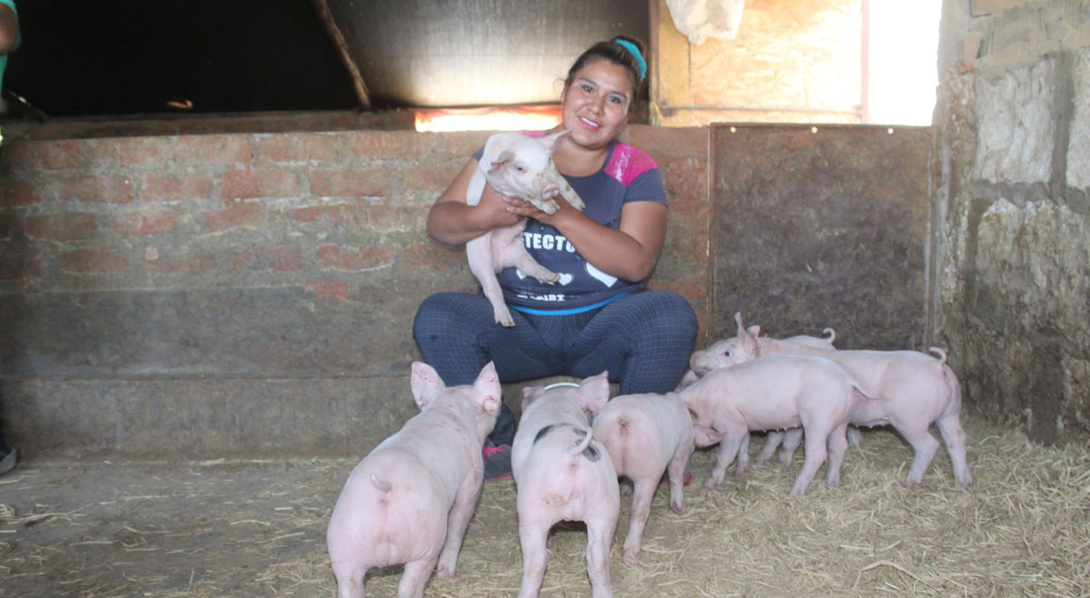 Mujeres son empoderadas en la crianza porcina nacional
