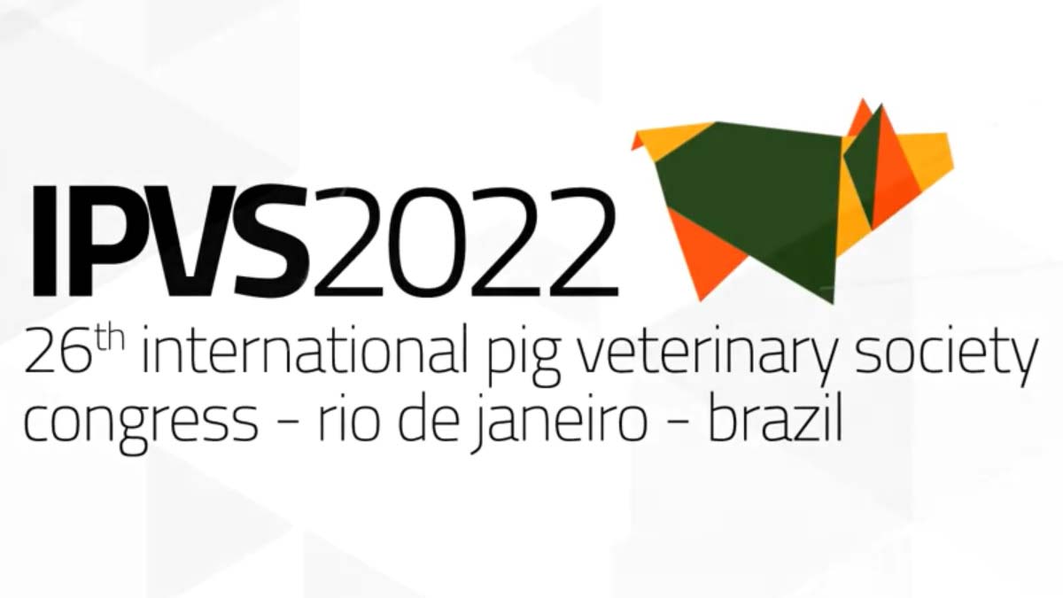 Evaluación de los resúmenes del IPVS2022 en la fase final