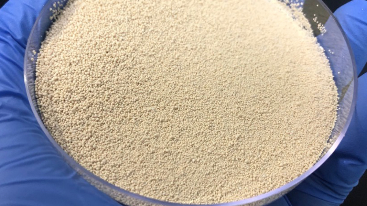 DSM lanza nueva generación de fitasa para aves y cerdos