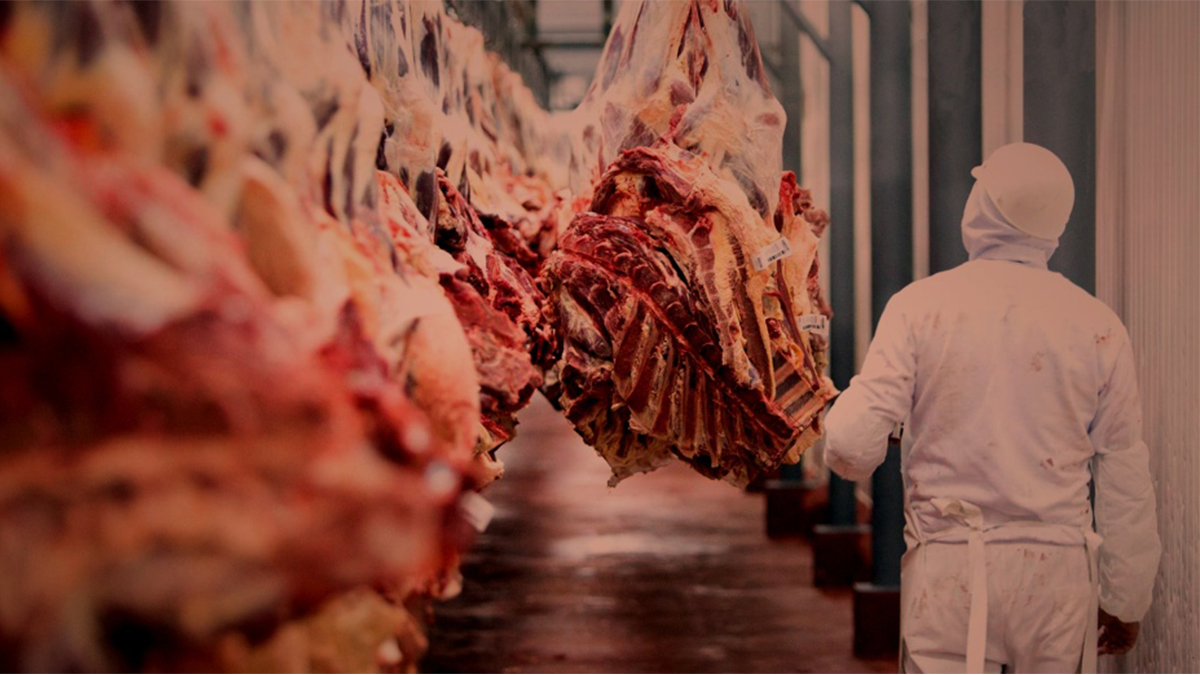 Exportaciones de carne de cerdo alcanzan cifra récord en la UE
