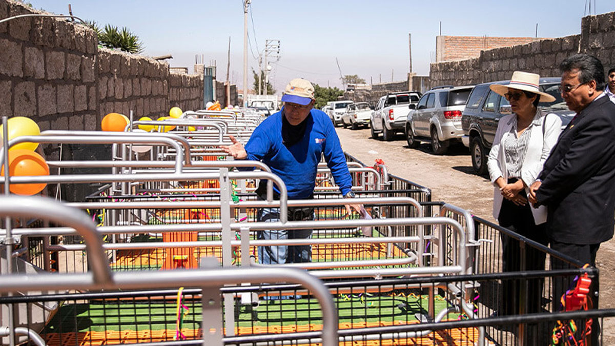 Porcicultores de Arequipa reciben bienes por S/300 mil soles
