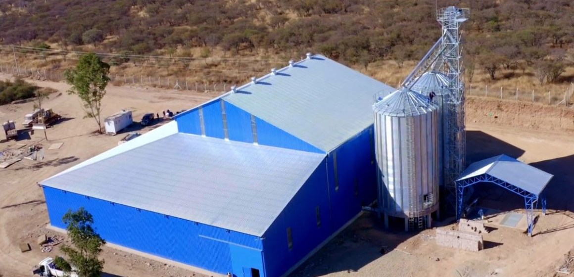 Bolivia: Nueva planta de alimento balanceado abastecerá al sector porcino
