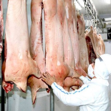 Tacna: impulsan comercialización de carne de cerdo con cámara frigorífica
